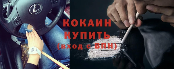молекула духа Горняк