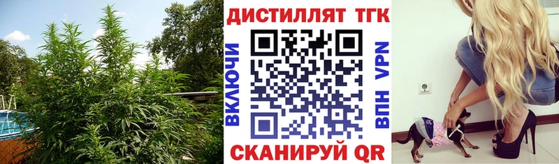 Купить где  Карталы  ТГК THC oil 