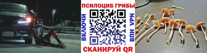 Галлюциногенные грибы Cubensis  Купить закладки  Карталы 